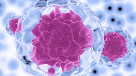 توجیه سلولی مولکولی مزاج ها و عوامل مؤثر بر سلامت سلولها