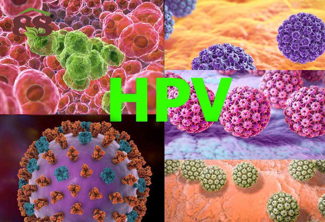 درمان سریع زگیل تناسلی HPV در زنان با طب سنتی | بهترین روشهای گیاهی و ...