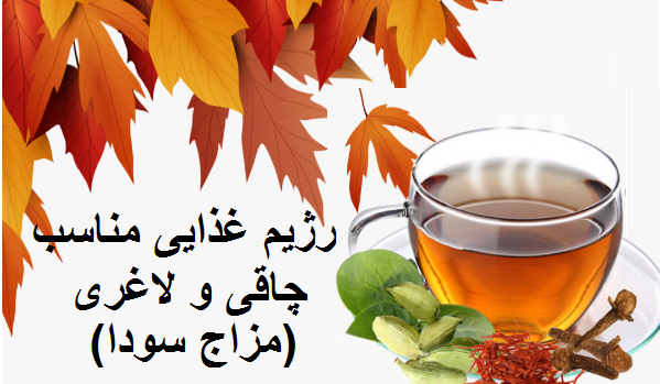 رژیم غذایی مناسب لاغری و چاقی سودا