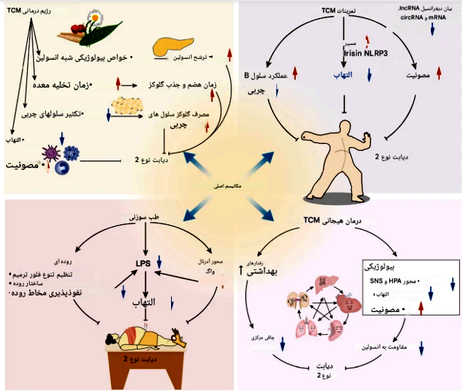 طب سنتی چین در درمان دیابت