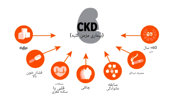 بیماری مزمن کلیوی علل