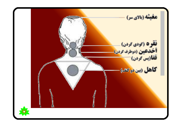تقویم حجامت حجامت قفا؛ روش طلایی
