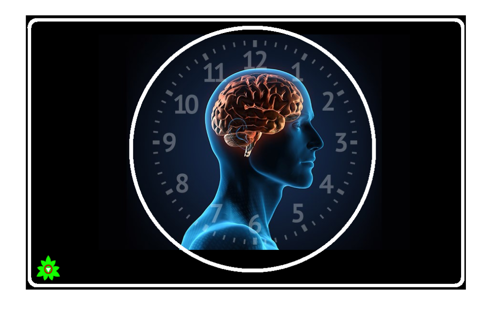 شش رکن اصلی طب سنتی (رکن سوم خواب و بیداری )