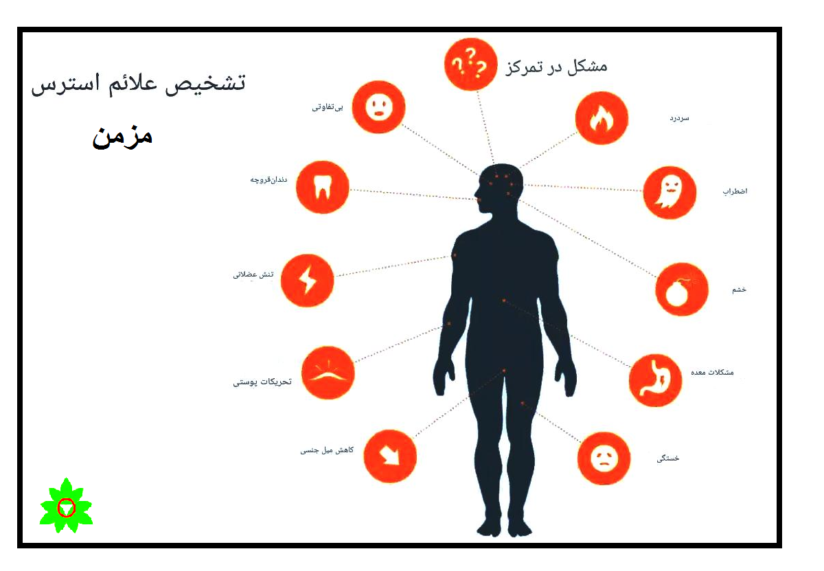 کورتیزول، قاتل خاموش اعصاب-استرس مزمن چیست؟
