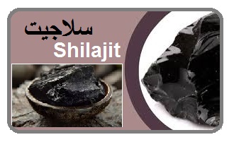 سلاجیت دکتر حسن اکبری