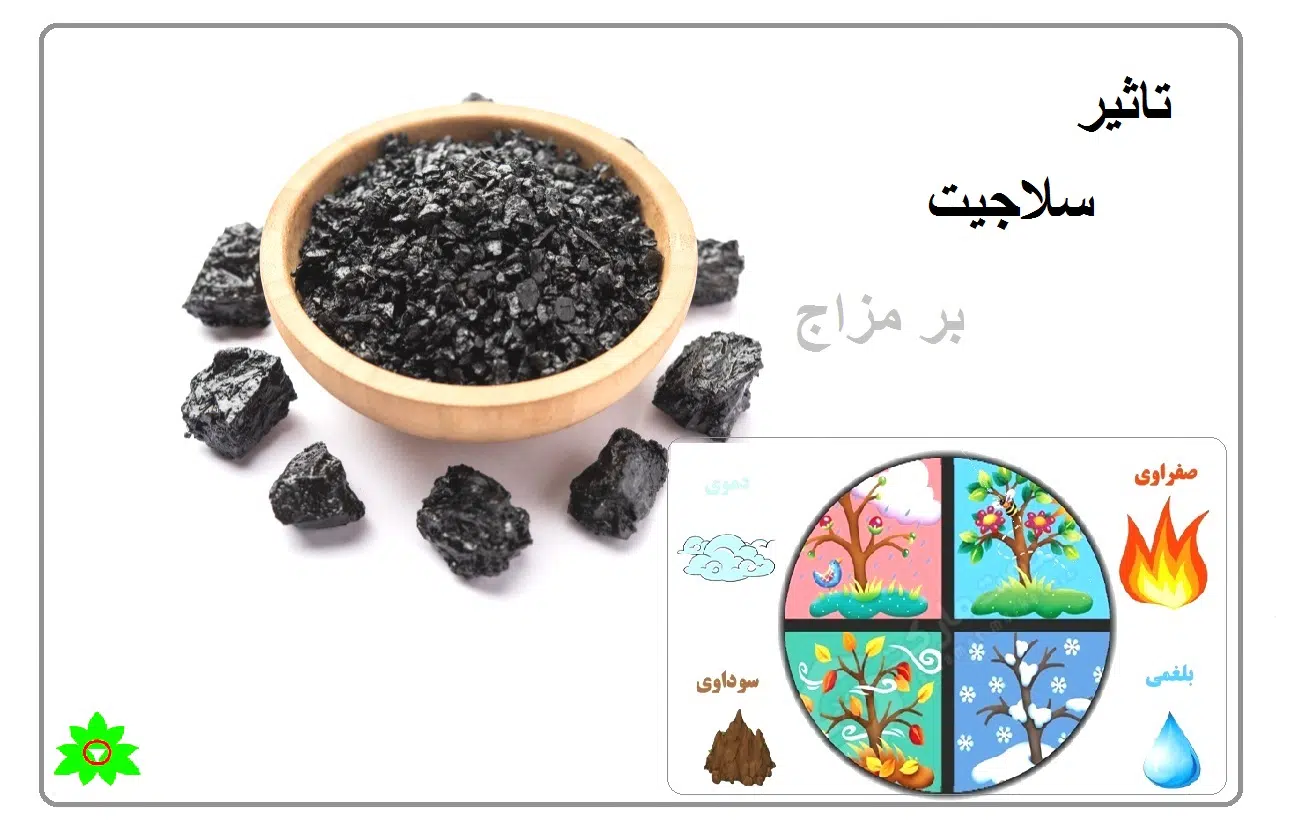 سلاجیت مومیایی. دکتر حسن اکبری