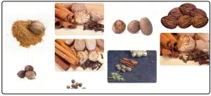 جوز هندی