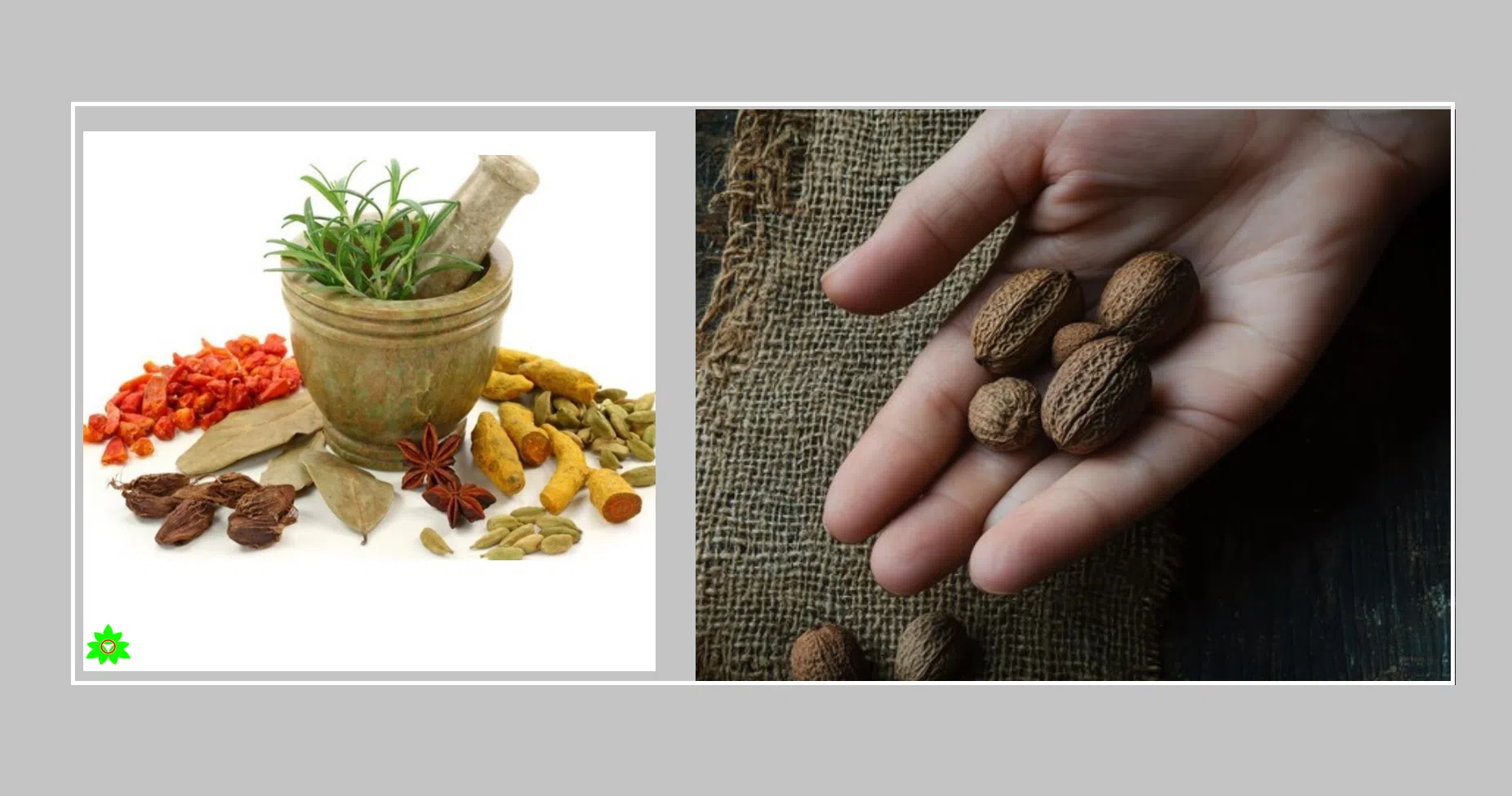 جوز هندی و طب سنتی